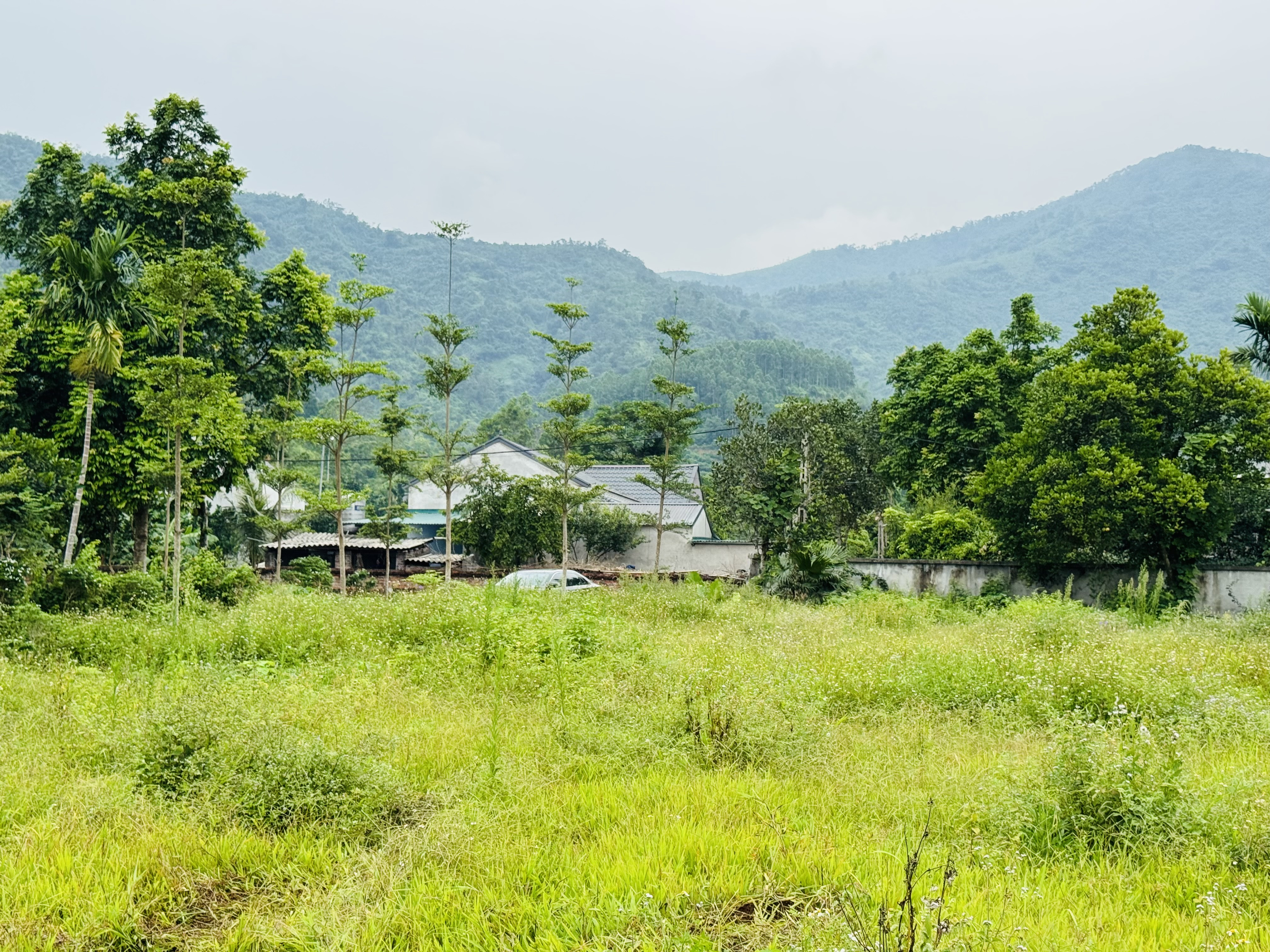 400M2 VUÔNG ĐẸP ( 2,6 TỶ ) NHÀ VƯỜN CỰC ĐẸP KHÔNG KHÍ TRONG LÀNH