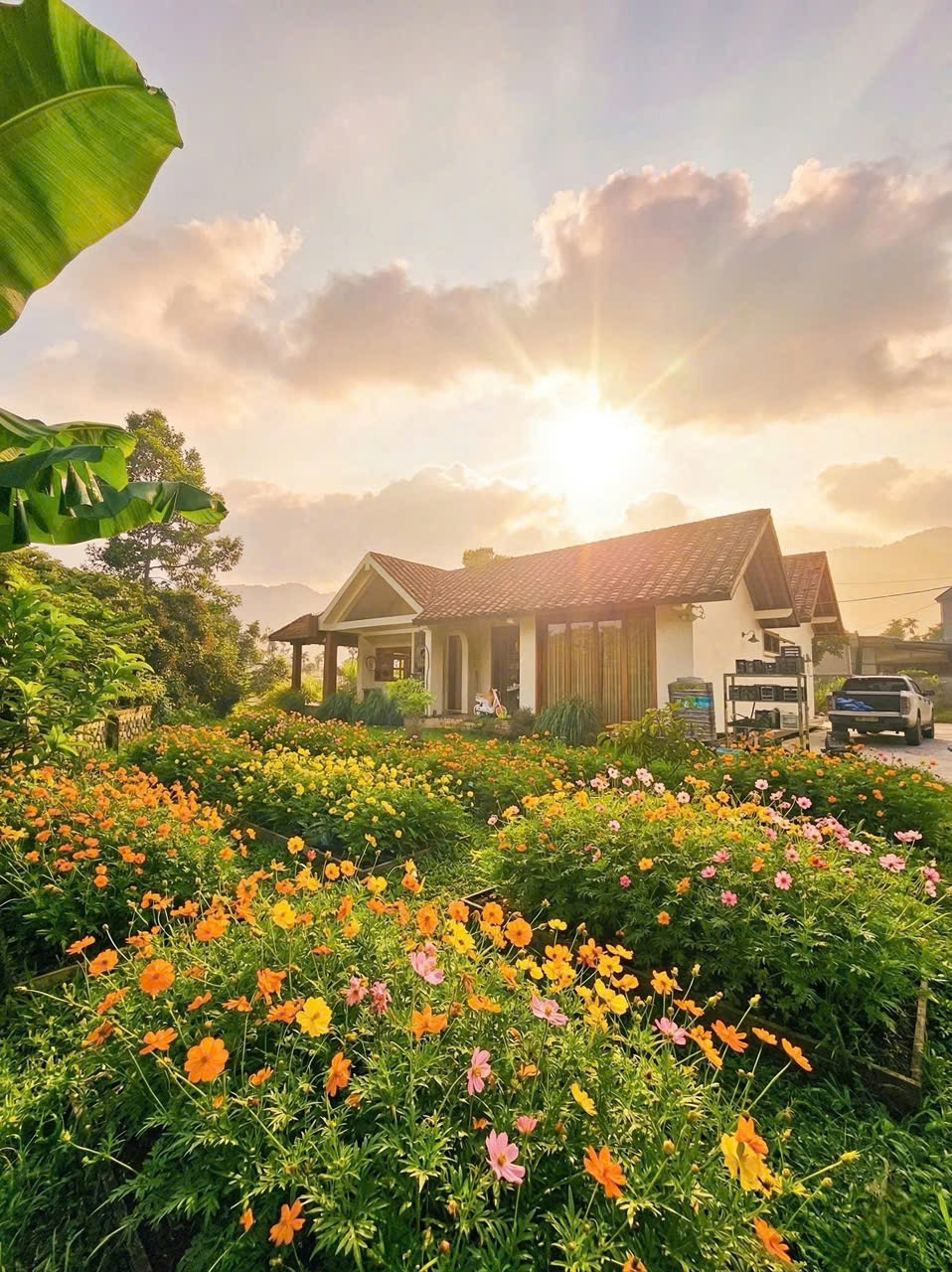 BÁN HOMESTAY CỰC ĐẸP CỰC CHILL Ở HOÀ LẠC