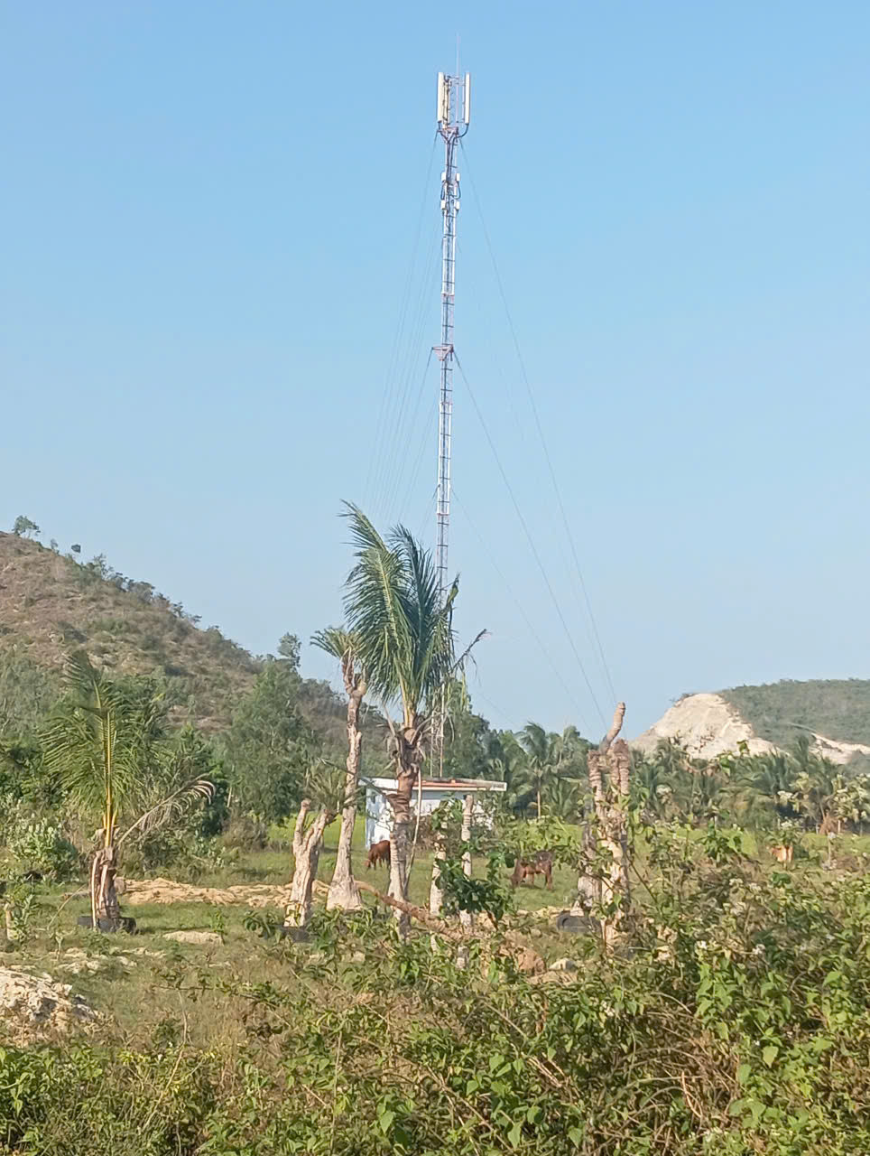 Quỹ đất mặt tiền DT651E Xuân Ninh – 1.958,6m², ngang 42,6m, giá 8,9tr/m²