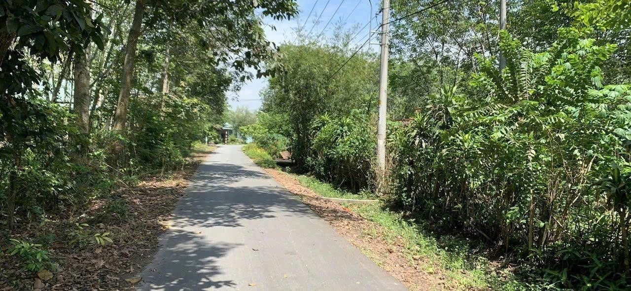 Bán gấp lô đất 2 mặt tiền – Gốc Rưng, xã An Nhơn Tây, Củ Chi – DT 2.023m² (500m² thổ cư), giá 7.5 tỷ.