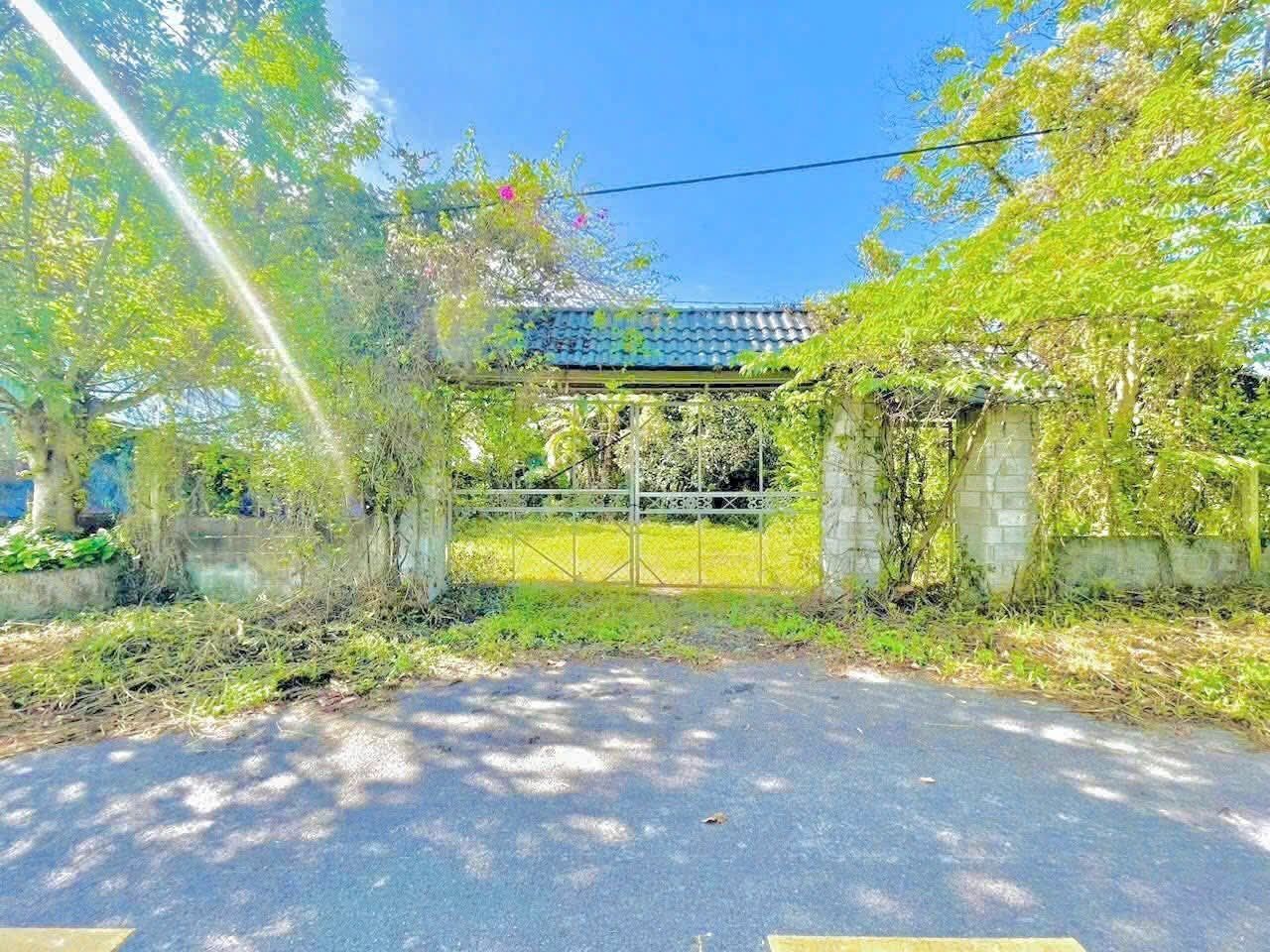 Bán đất thổ cư mặt tiền nhựa sát ngã tư Nguyễn Thị Rành và Tỉnh Lộ 7 xã An Nhơn Tây Củ Chi TPHCM, DT: 180x58m.