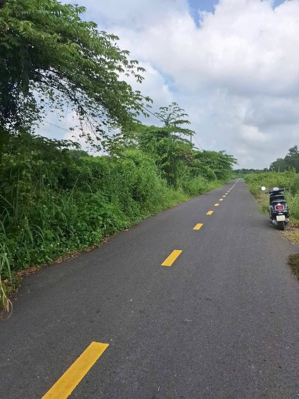Bán đất mặt tiền nhựa 1/ngắn Tỉnh Lộ 7 xã An Nhơn Tây Củ Chi TPHCM, DT: 11000m2.