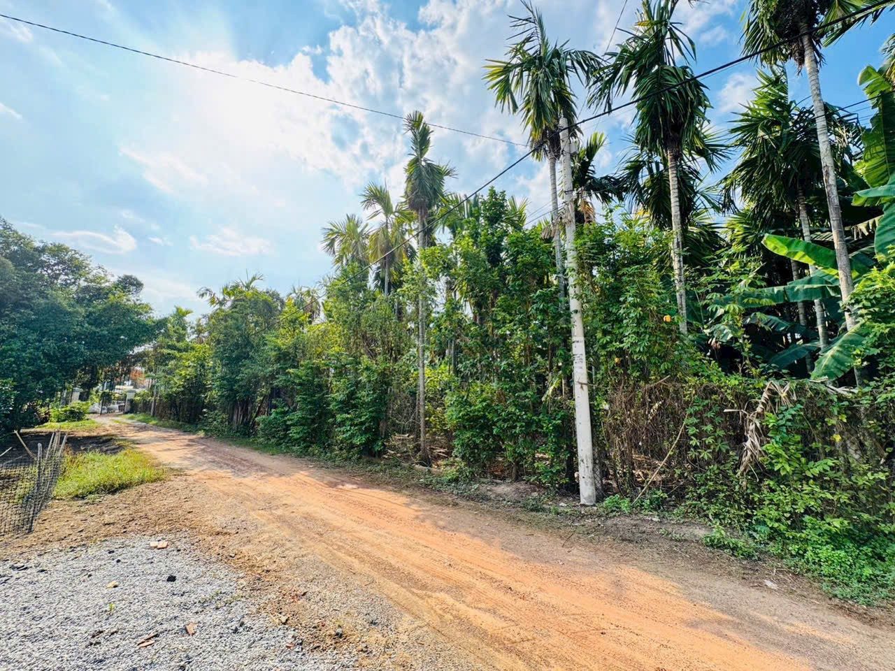Đất thổ cư đường Ôtô xe Tải 1/ngắn An Nhơn Tây xã An Nhơn Tây Củ Chi TPHCM, DT: 71x26m.