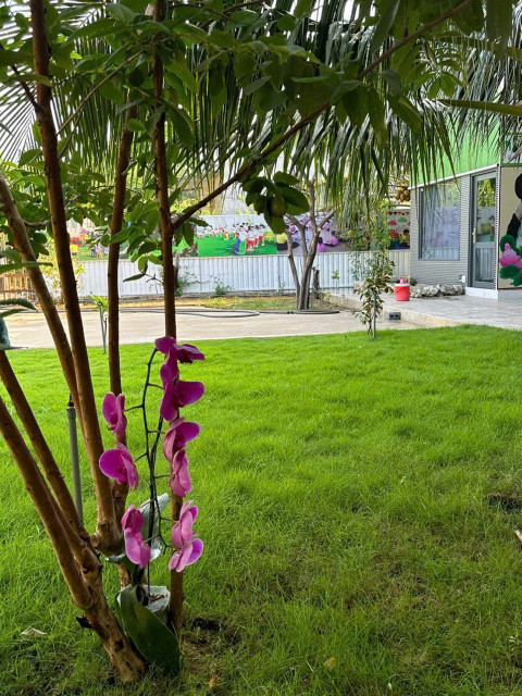 BDS NHÀ VƯỜN 1200M2 ,  THỔ CƯ 861M2. HIỆN ĐANG KINH DOANH TRƯỜNG MN DÒNG TIỀN ỔN ĐỊNH. GIẤY PHÉP TRƯỜNG MN DUY NHẤT TAỊ KHU VỰC.