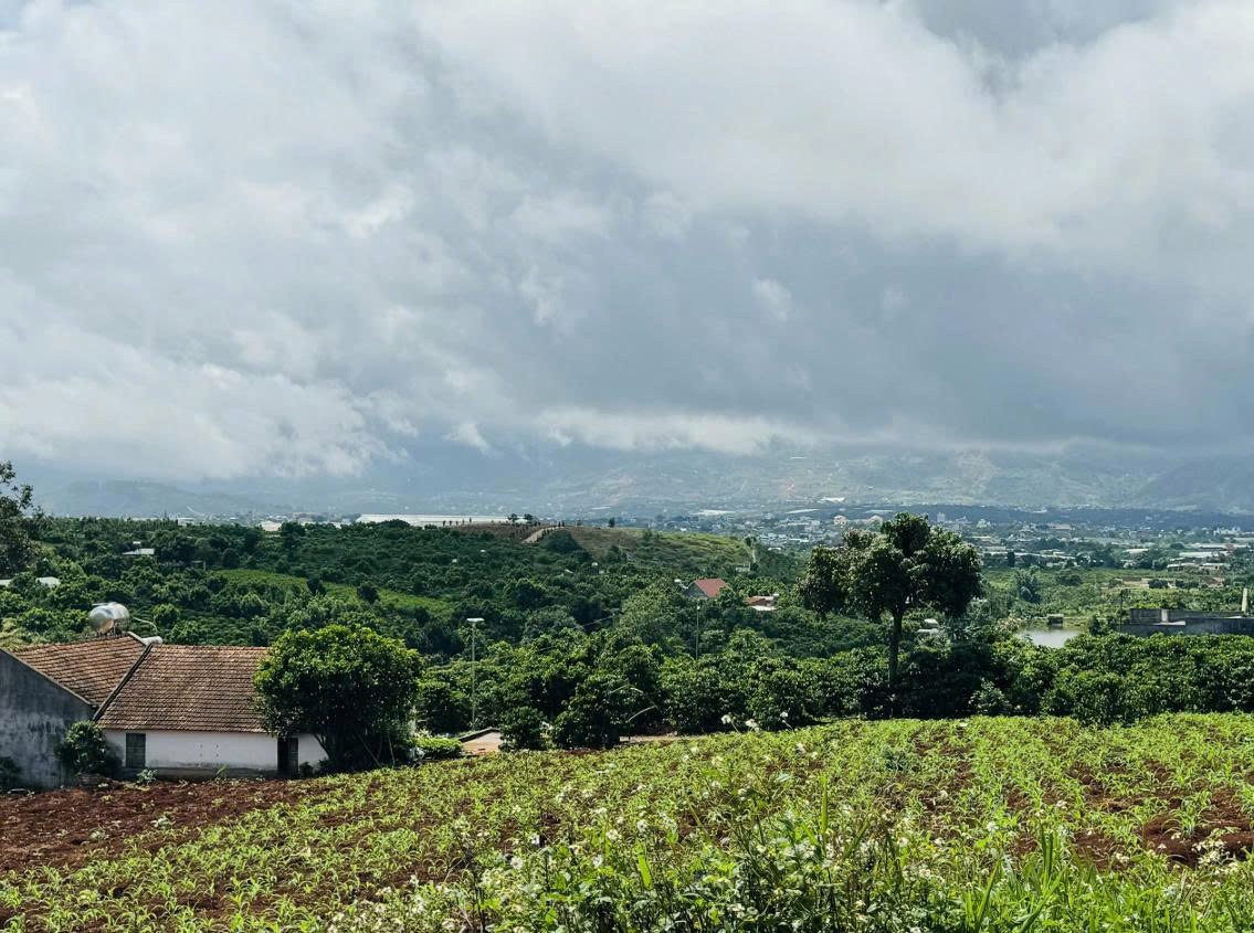 Chỉ 300m ra đường nhựa ĐT 725

Ngay cụm du lịch Tà Nung
Khu dân cư, hạ tầng hoàn thiện
Với diện tích 288m² – sẵn 200m² thổ cư

View suối, view núi, rừng thông bao quanh
Phù hợp nghỉ dưỡng, homestay, nhà vườn
Đất đẹp giá tốt
Ngân hàng hỗ trợ 70%