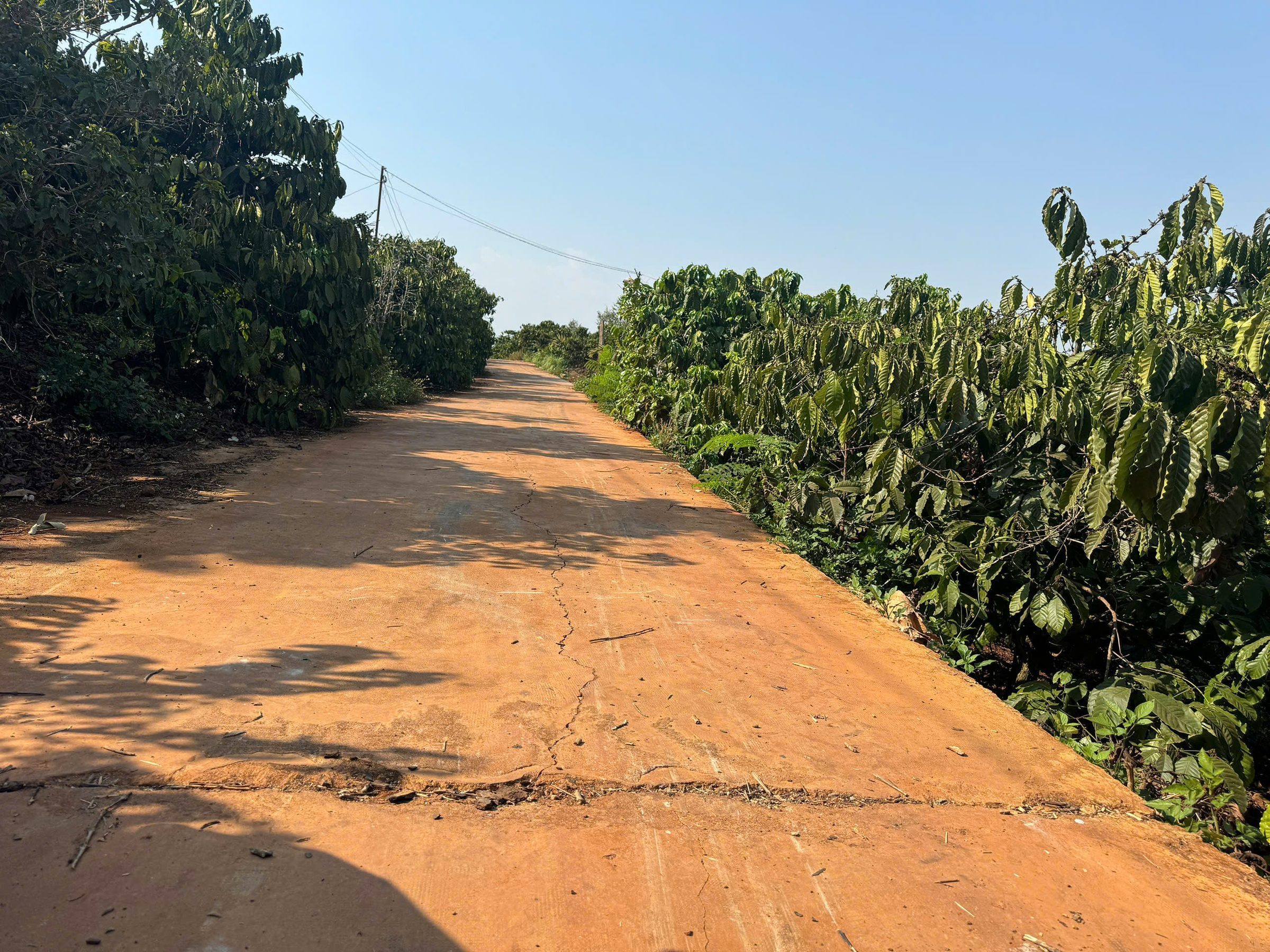 Đất thổ cư, view đẹp ở xã Nam Ban Lâm Hà. Chỉ 20km ra tới sân bay Liên Khương Đà Lạt. Giá 800 Tr/544m2. Ngang 13.5m mặt tiền
