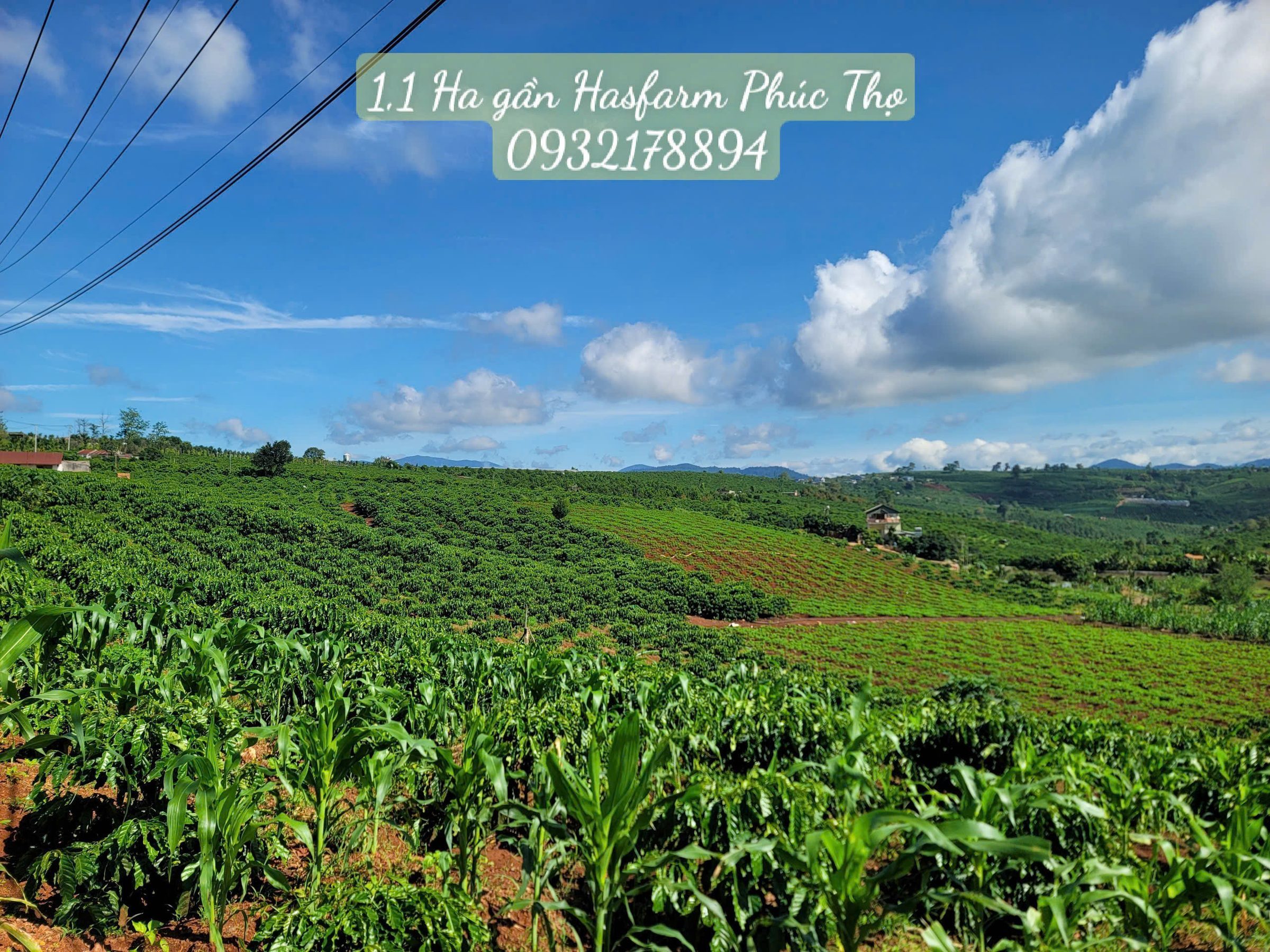 1,1 Hecta đất như nông thôn nước Mỹ, địa thế lòng chảo cực đẹp, Nhìn view thoáng sang xung quanh 5km