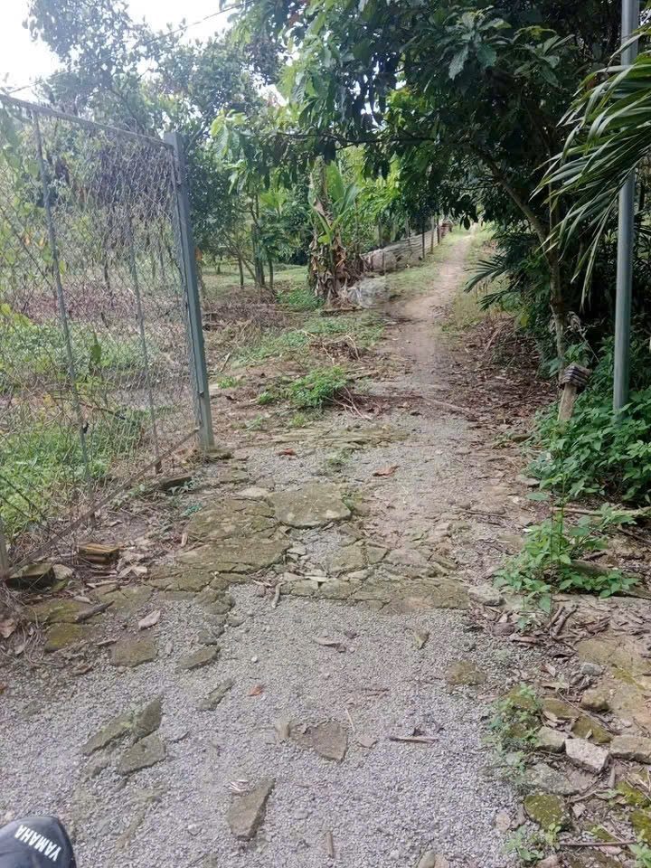 Bán Nhà vườn 1217m2 giá 770 triệu tại Đường Tỉnh lộ 741 Xã An Bình Huyện Phú Giáo Bình Dương