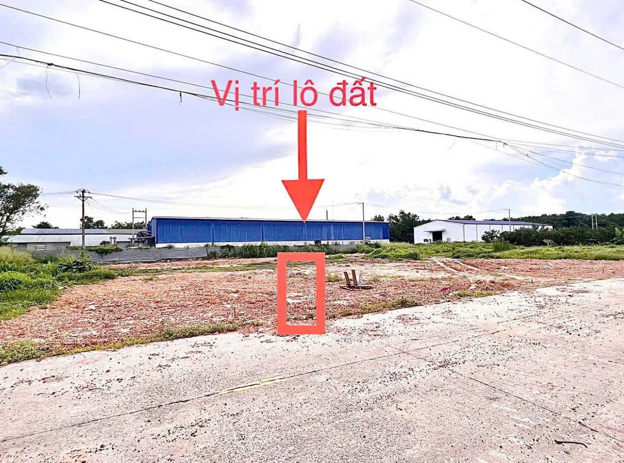 Bán Đất 240m² thổ cư 100m² giá 575 triệu tại đường Tỉnh lộ 750 Xã Trừ Văn Thố Huyện Bàu Bàng Bình Dương