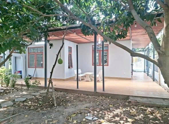 Trên đất có sẵn nhà cấp 4 kiên cố, sạch sẽ và vườn cây ăn trái lâu năm đang cho thu hoạch, không gian xanh mát, không khí trong lành.
