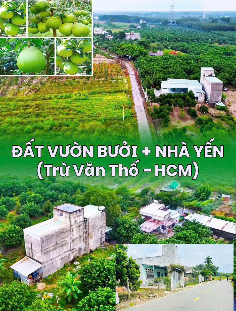 CẦN RA GẤP LÔ ĐẤT Ở CHỢ TRỪ VĂN THỐ, BÀU BÀNG, BÌNH DƯƠNG VỚI GIÁ 950TR
