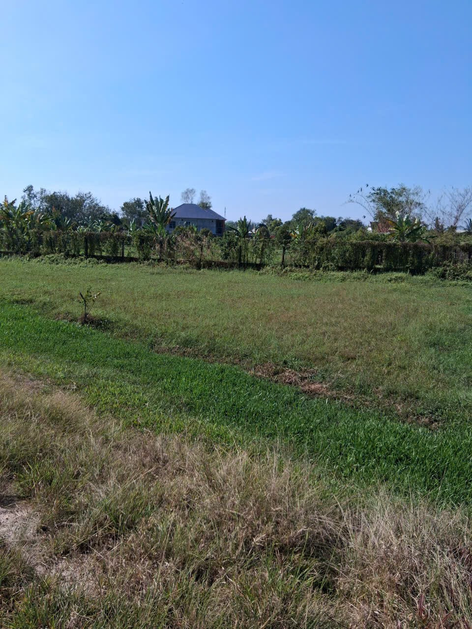 Rẻ quá Xá,Lô đất gần Trung tâm TX. Trảng Bàng, 1004m2, SHr có Tc, giá 999Tr