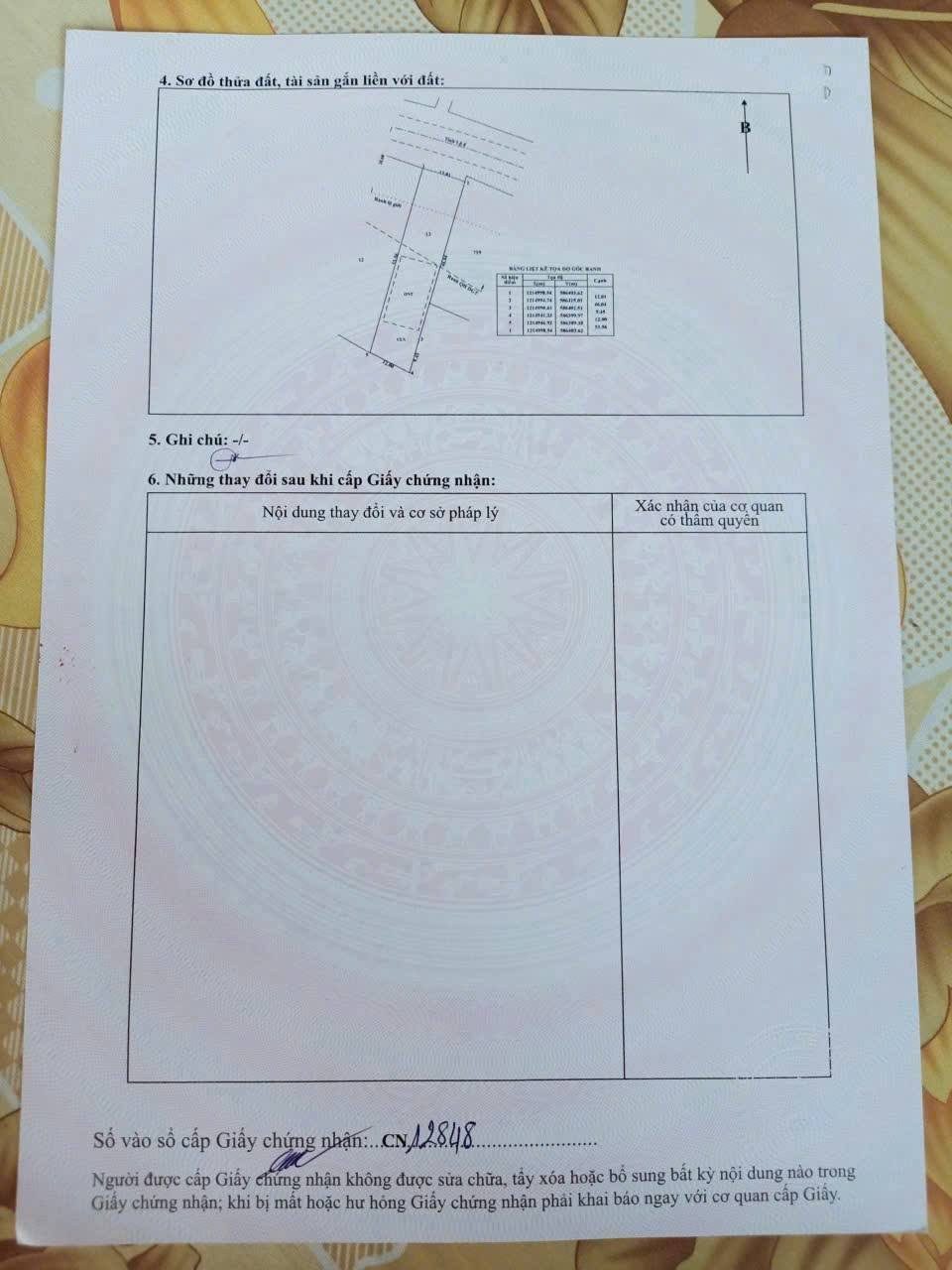 ĐẤT TÂN THẠNH TÂY , CỦ CHI CÓ THỔ CƯ MẶT TIỀN TL8