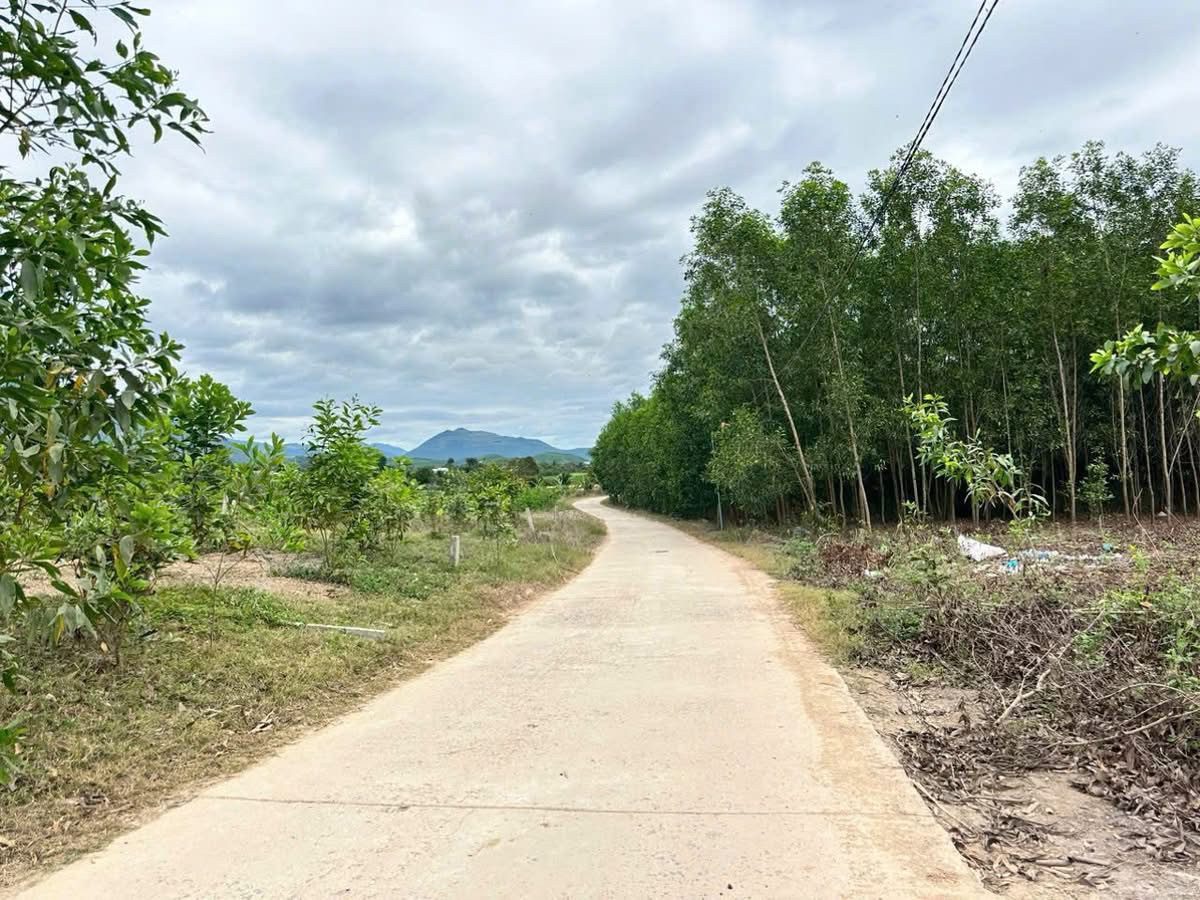 Đất Diên Xuân Diên Khánh, gần khu dân cư, đường QH 16m. LH 0938161427