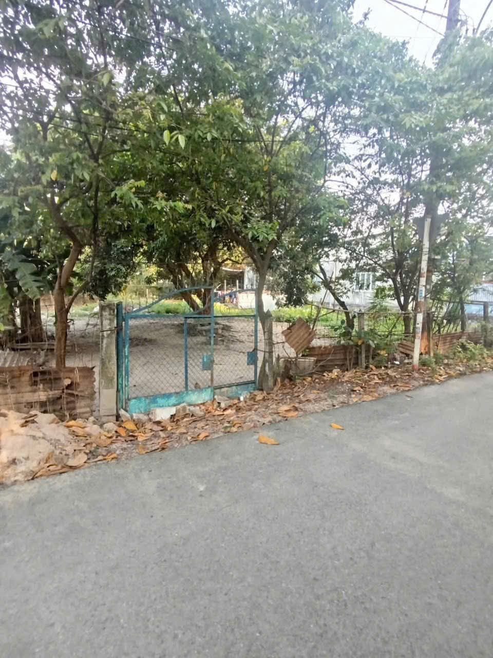 Bán đất thổ cư 1/ngắn Tỉnh Lộ 8 trung tâm xã Hòa Phú Củ Chi TPHCM, DT: 8x26m.