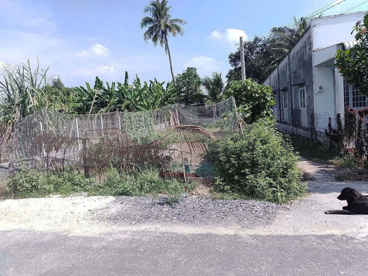Bán đất thổ cư 1/Tỉnh Lộ 8 trung tâm xã Phước Vĩnh An Củ Chi TPHCM, DT: 8,5x25m.
