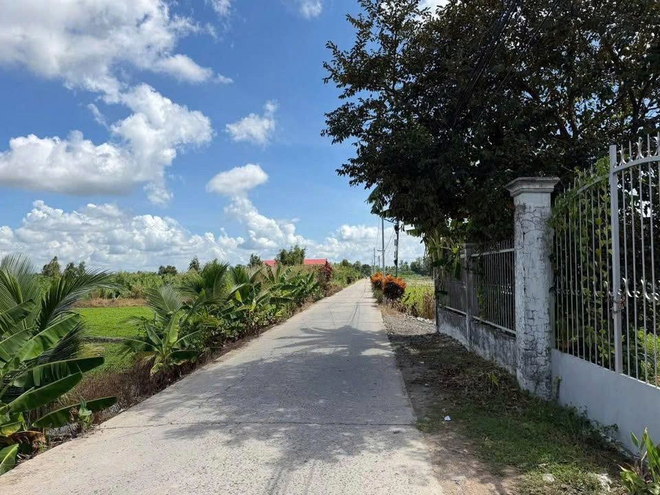 🔥CHỦ CẦN TIỀN BÁN CĂN NHÀ C4 Ở TÂN AN HỘI CỦ CHI GIÁ 750 TRIỆU!