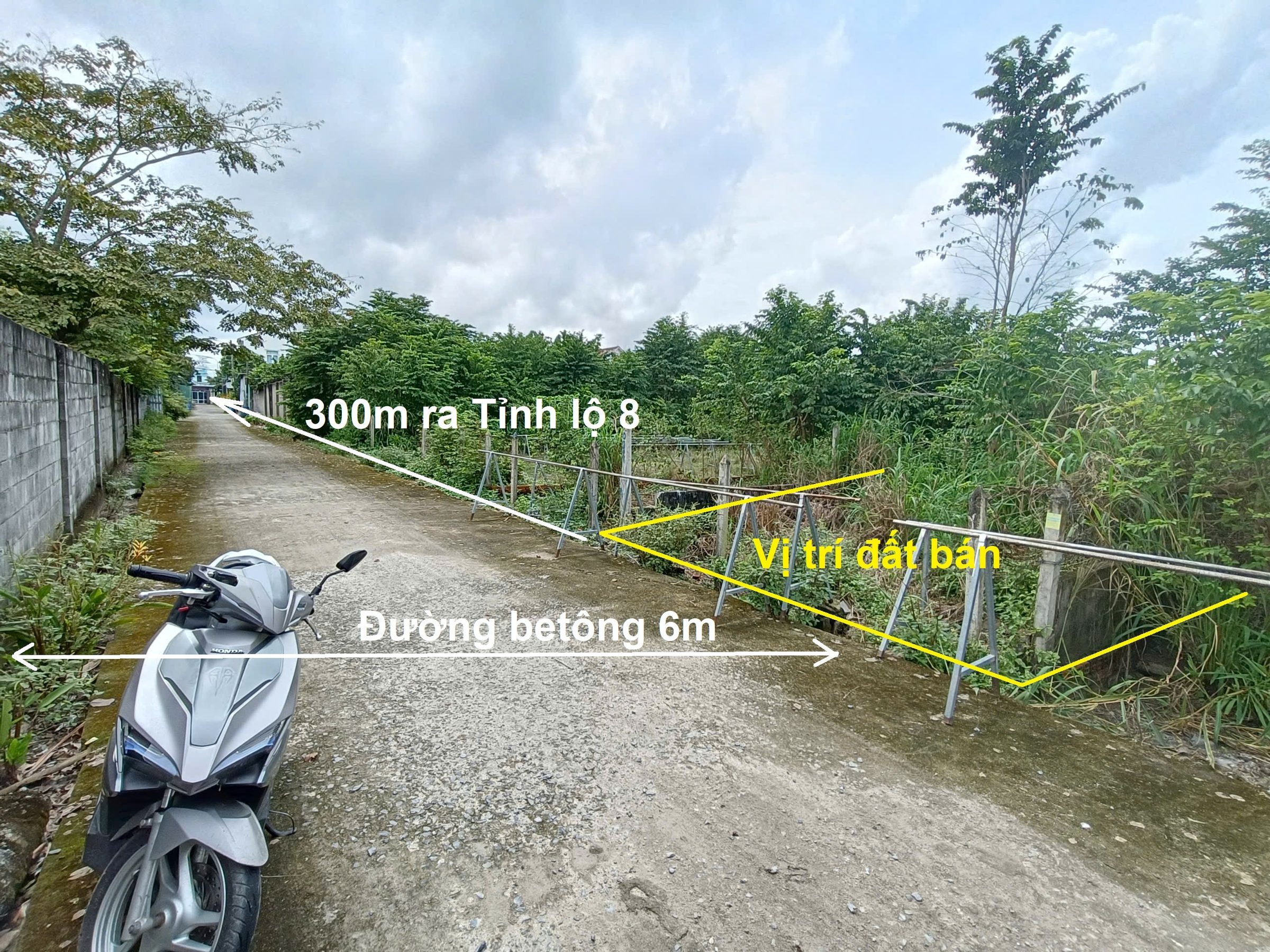 Bán đất mặt tiền đường bê tông 6m, Xã Tân Thạnh Tây, Củ Chi, gần Tỉnh Lộ 8, 135m² thổ cư 100%, Giá bán 1.8 tỷ