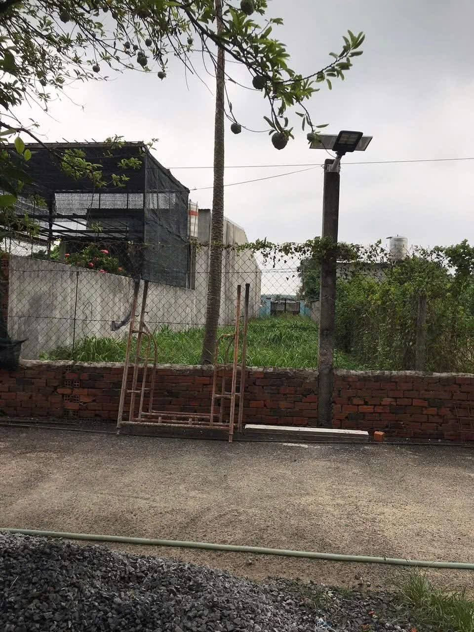 Bán đất 1/Tỉnh Lộ 8 trung tâm xã Tân Thạnh Tây Củ Chi TPHCM, DT: 5x48m.