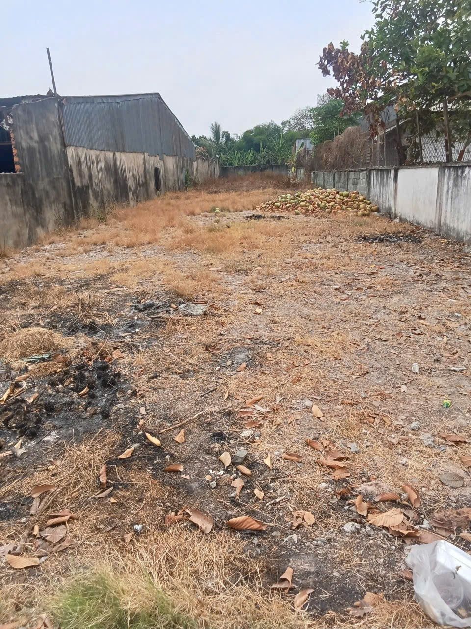 Bán đất thổ cư mặt tiền nhựa sát ngã Ba đường Tỉnh Lộ 8 và đường Trung An xã Trung An Củ Chi TPHCM, DT: 584m2.