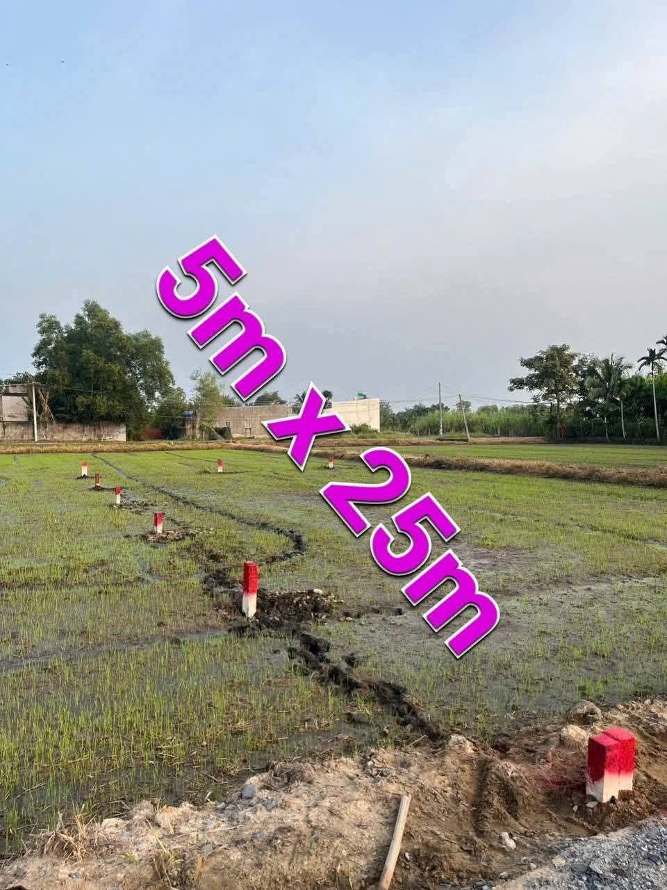 ĐẤT ĐẸP. GIÁ RẺ ĐỨC HÒA
