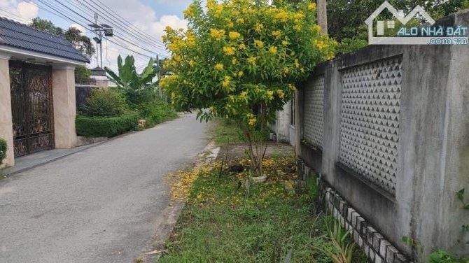 Nhà BÁN tạp hóa gần cầu An Hóa, Long Hòa, Bình Đại, Bến Tre. Rộng 174m2 full thổ cư.