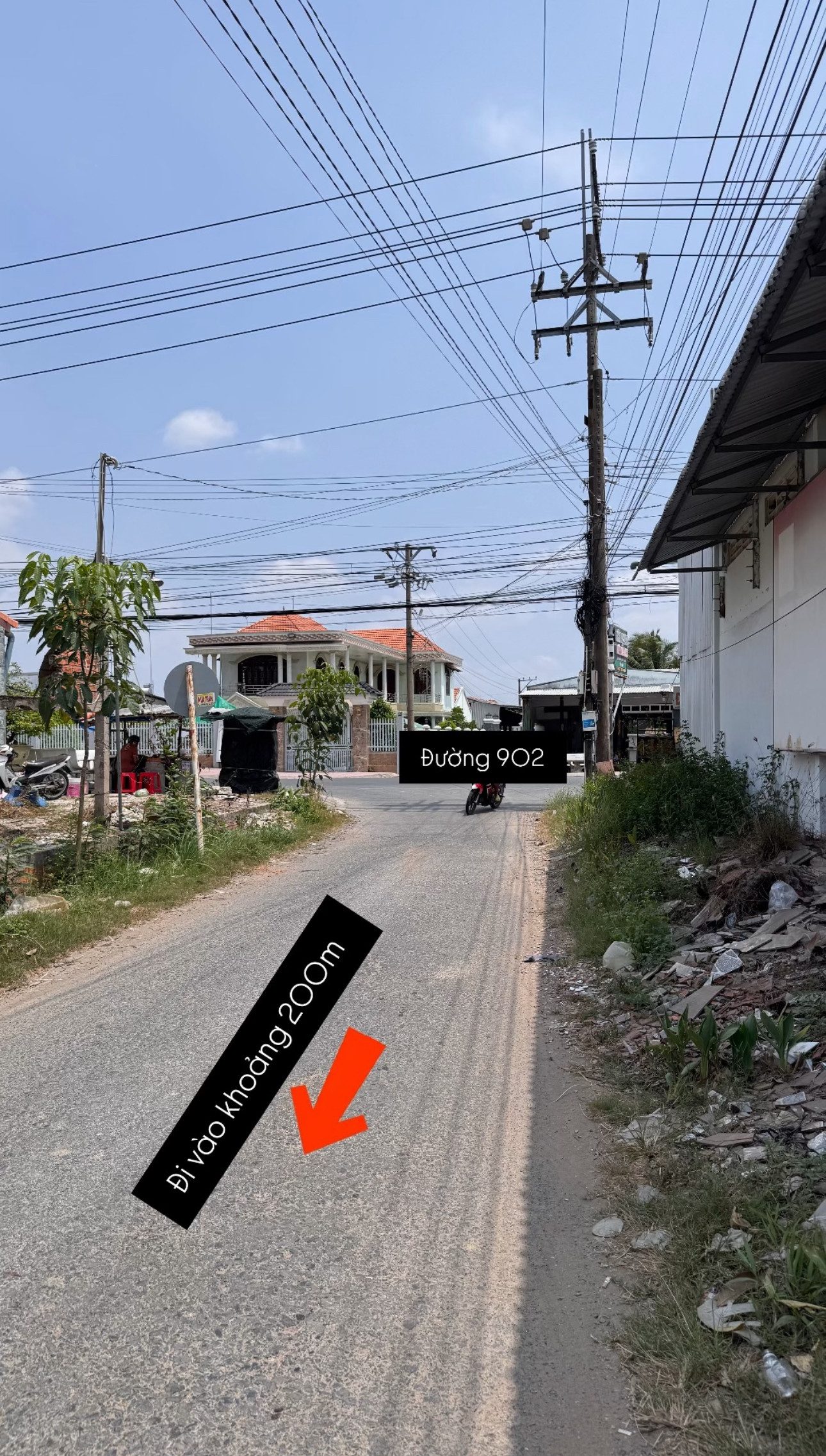 Loại đất: Đất cơ sở sản xuất phi nông nghiệp 2630,0m2. Đất trồng cây lâu năm 598,1m2
