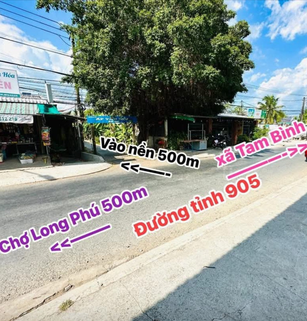 KHUI BÁN LỐC NỀN ĐẸP