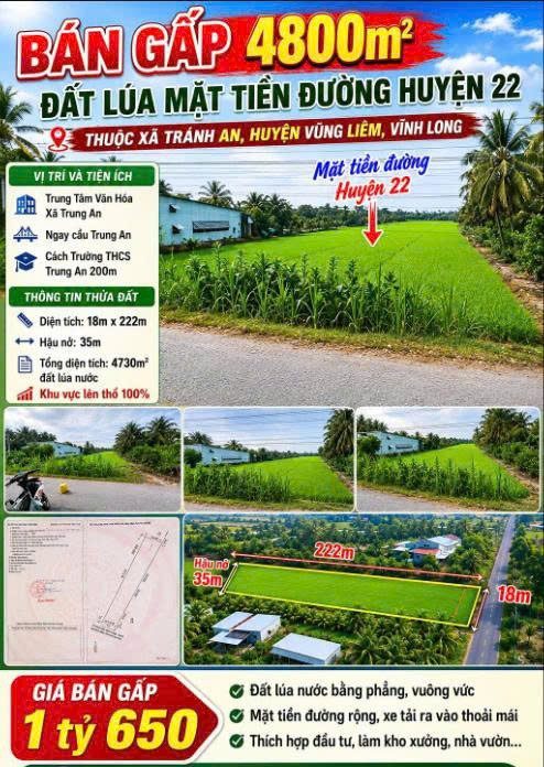 🌾 BÁN GẤP 4.730m² ĐẤT LÚA MẶT TIỀN ĐƯỜNG TỈNH 907🌾
📍 Xã Trung An – Vũng Liêm – Vĩnh Long