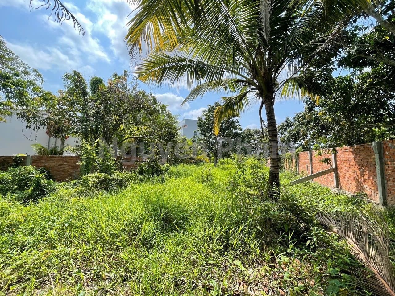 1500m2 mặt tiền Lộ Vòng Cung, thuộc Phường An Bình, Cần Thơ. ( cách chợ Mỹ Khánh 700m ).