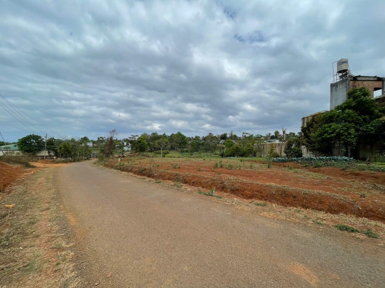 💥 Đất hẻm gần đầu cầu Tô Hiệu - View ruộng db