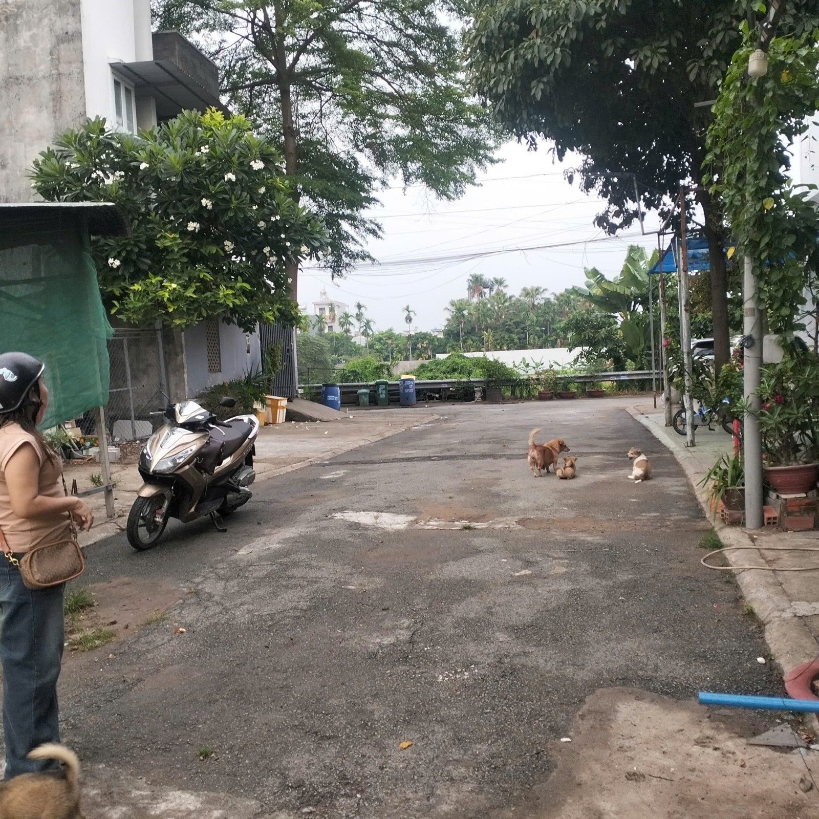 Bán đất hẻm xe hơi đường Ngô chí quốc, bình chiểu - 60m2 - giá 2.8 tỷ TL