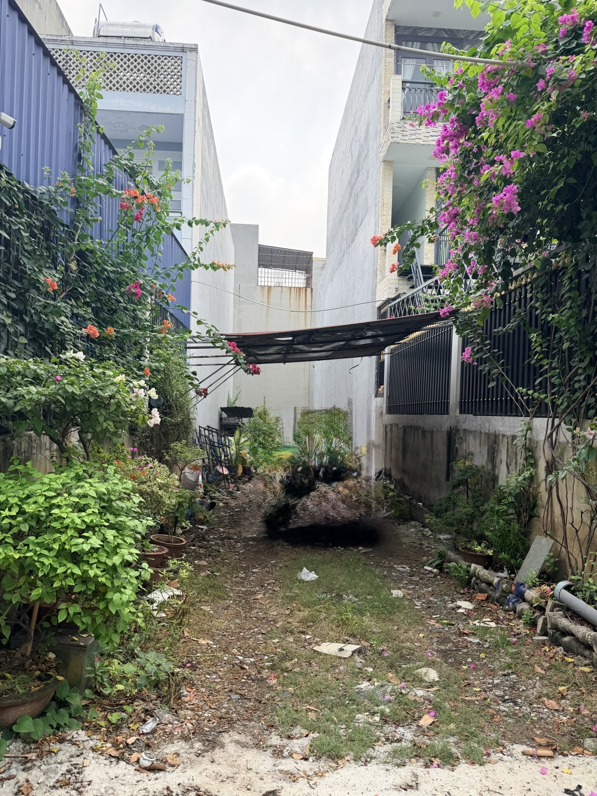 BÁN ĐẤT TẶNG NHÀ CẤP 4, HIỆP BÌNH PHƯỚC - 430m2 - GIÁ 19 TỶ