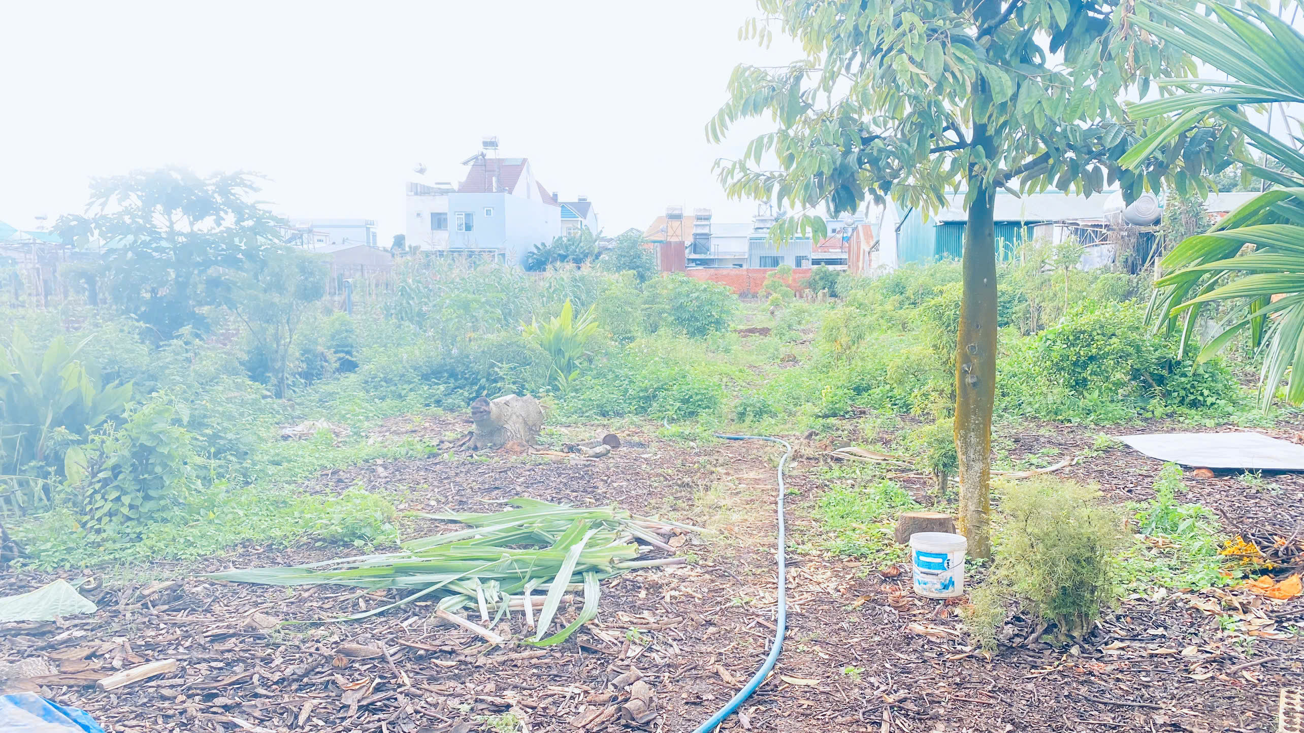 Đất víp mặt tiền Trần Bình Trọng, trung tâm đức trọng, lâm đồng