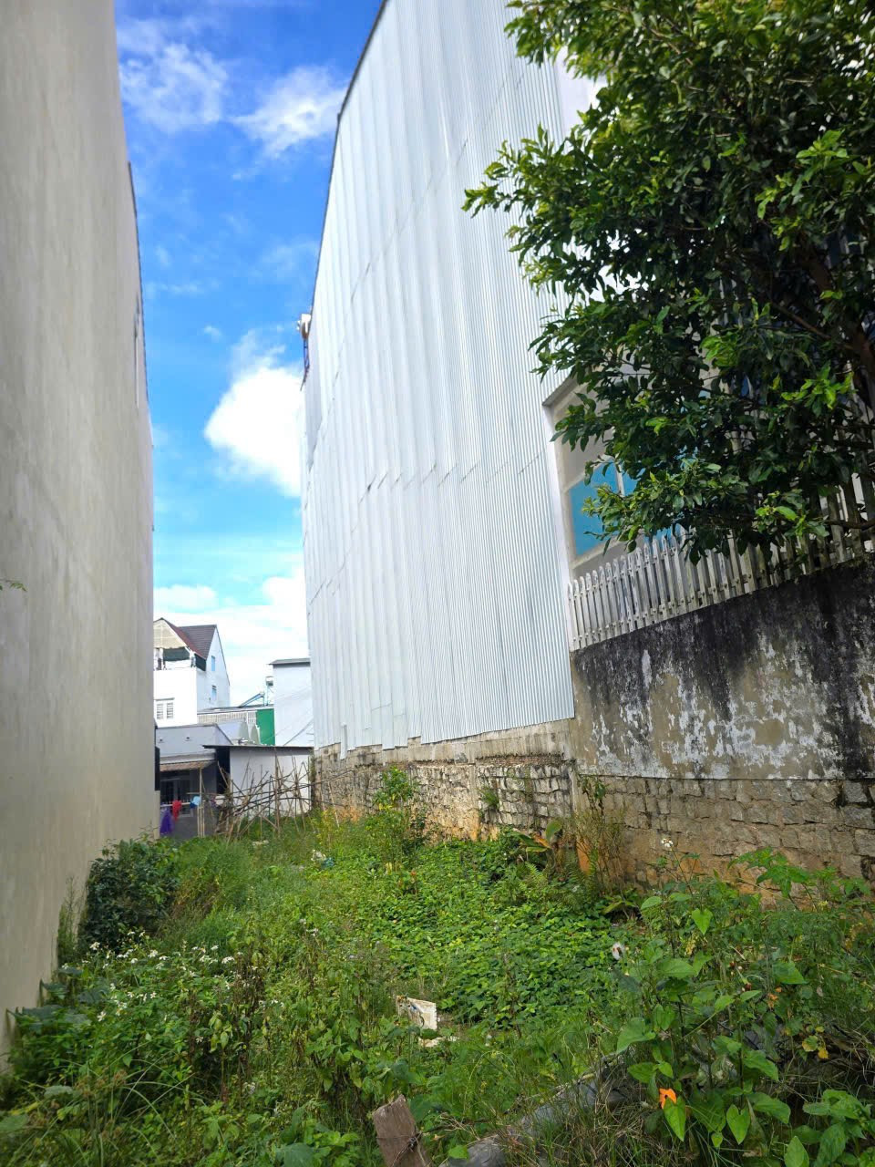 🏡 BÁN ĐẤT TRẦN KHÁNH DƯ, P8, ĐÀ LẠT
📍 Vị trí đẹp thuộc đường Trần Khánh Dư, Phường 8, Đà Lạt. Khu dân cư ổn định, thuận tiện sinh sống và đầu tư.
🔹 Diện tích: 93m²
🔹 Mặt tiền: 5,26