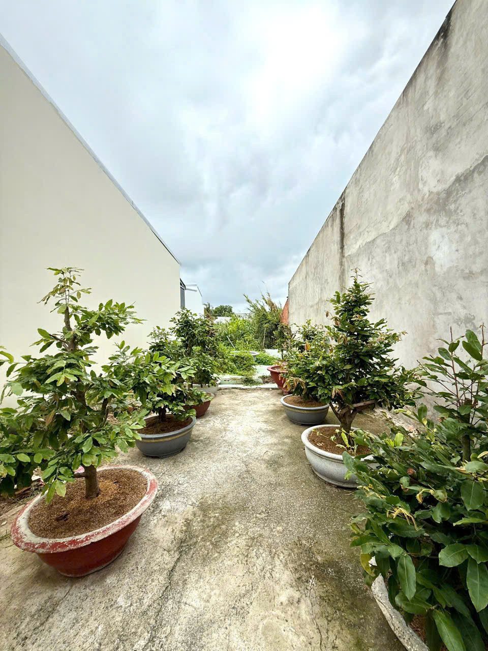 Bán đất nền mặt tiền đường Trần Mai Ninh, KDC Cầu Suối, phường Rạch Giá, tỉnh An Giang