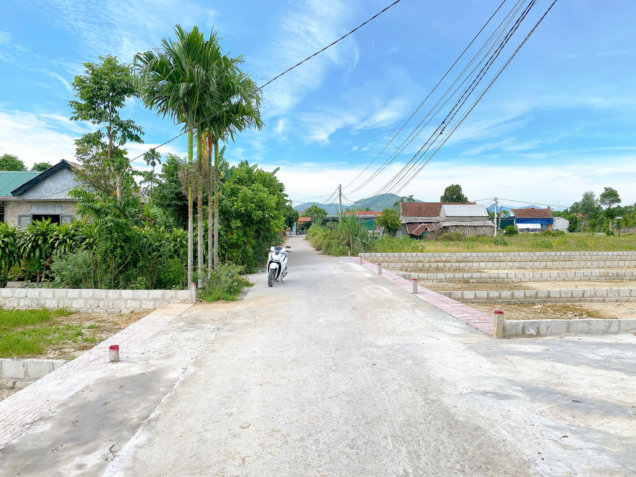 📌 ĐẤT KIM TRÀ TẦM 550TR – NGƯỜI XEM SỚM THƯỜNG CHỌN TRƯỚC.