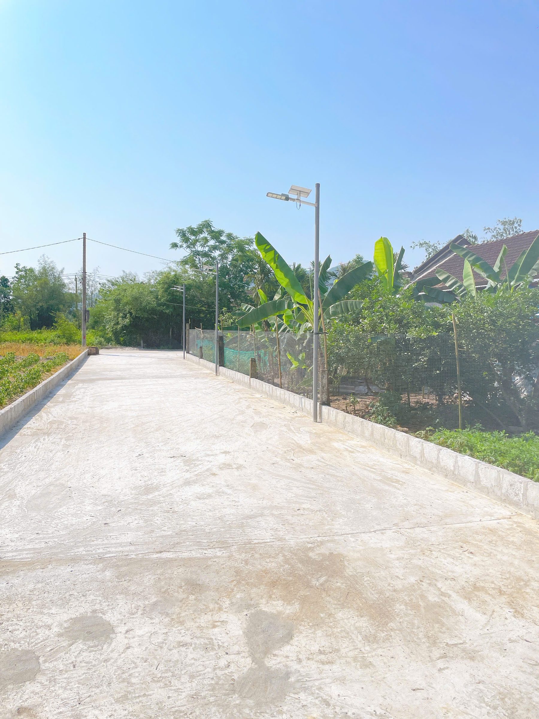 Bán Đất 124m² thổ cư 80m² giá 520 triệu tại Đường Trần Quang Diệm Phường Hương Xuân Thị xã Hương Trà Thừa Thiên Huế