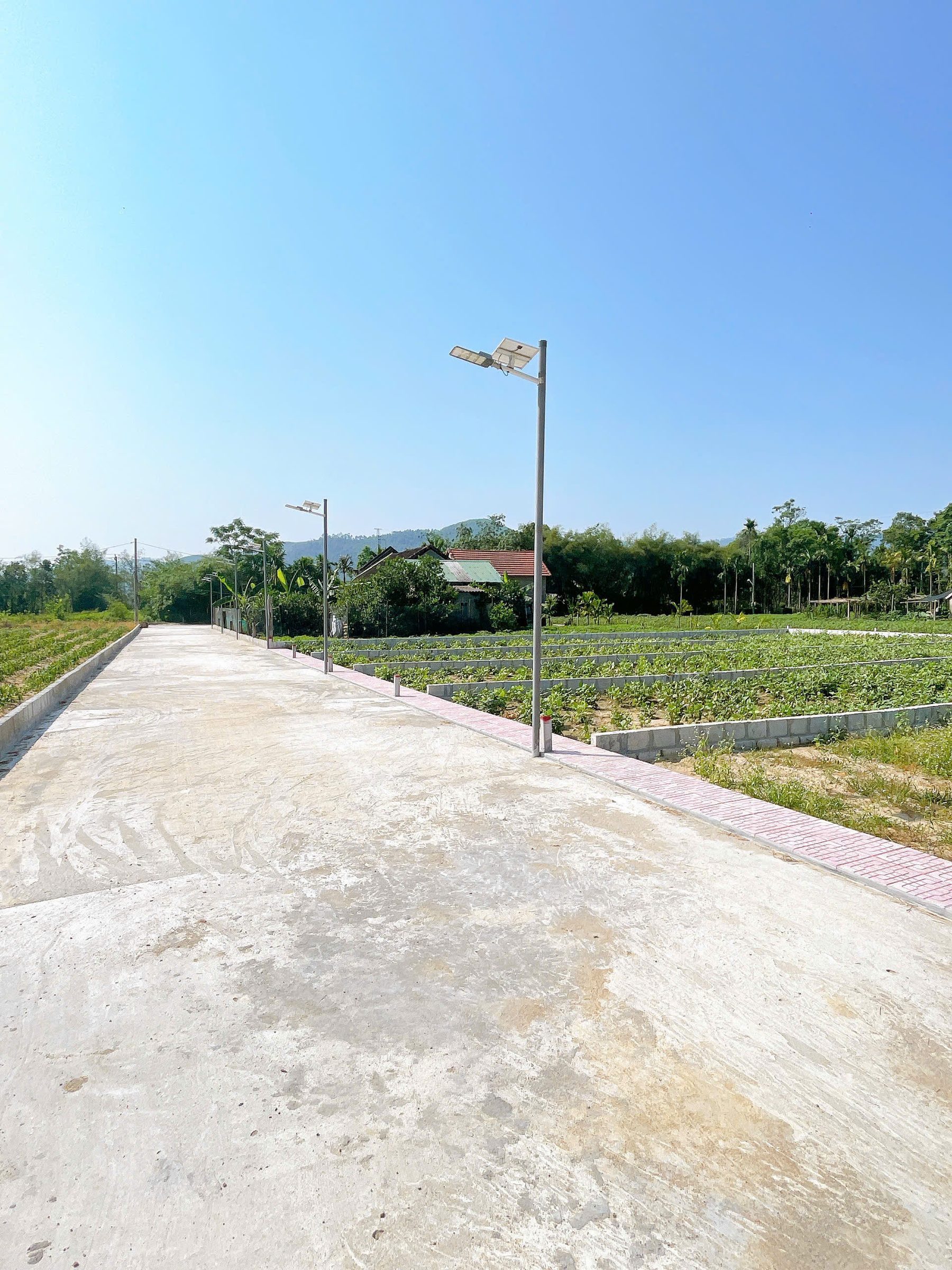 Bán Đất 124m² thổ cư 80m² giá 499 triệu tại Đường Trần Quang Diệm Phường Hương Xuân Thị xã Hương Trà Thừa Thiên Huế