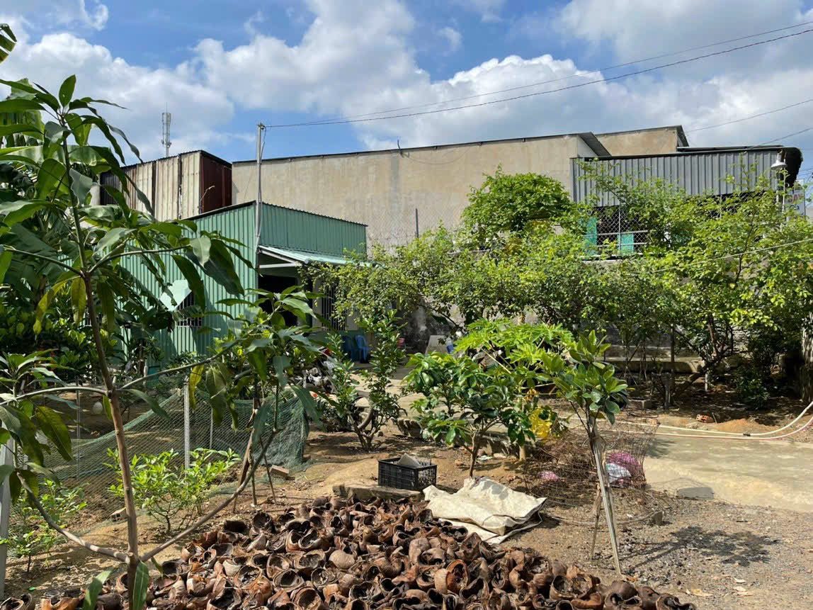 Bán đất 461.6m² ngang 15.5m giá 10.5 tỷ tại Phường Tân Bình Thị xã Dĩ An