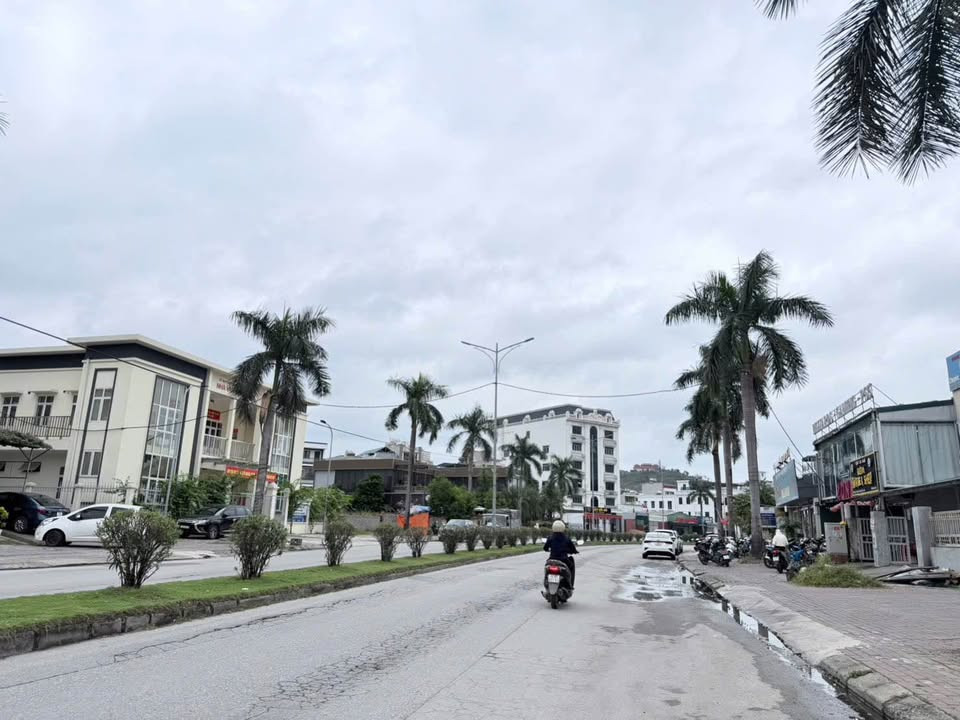 BÁN ĐẤT MẶT TIỀN ĐƯỜNG TRẦN THÁI TÔNG - HẠ LONG