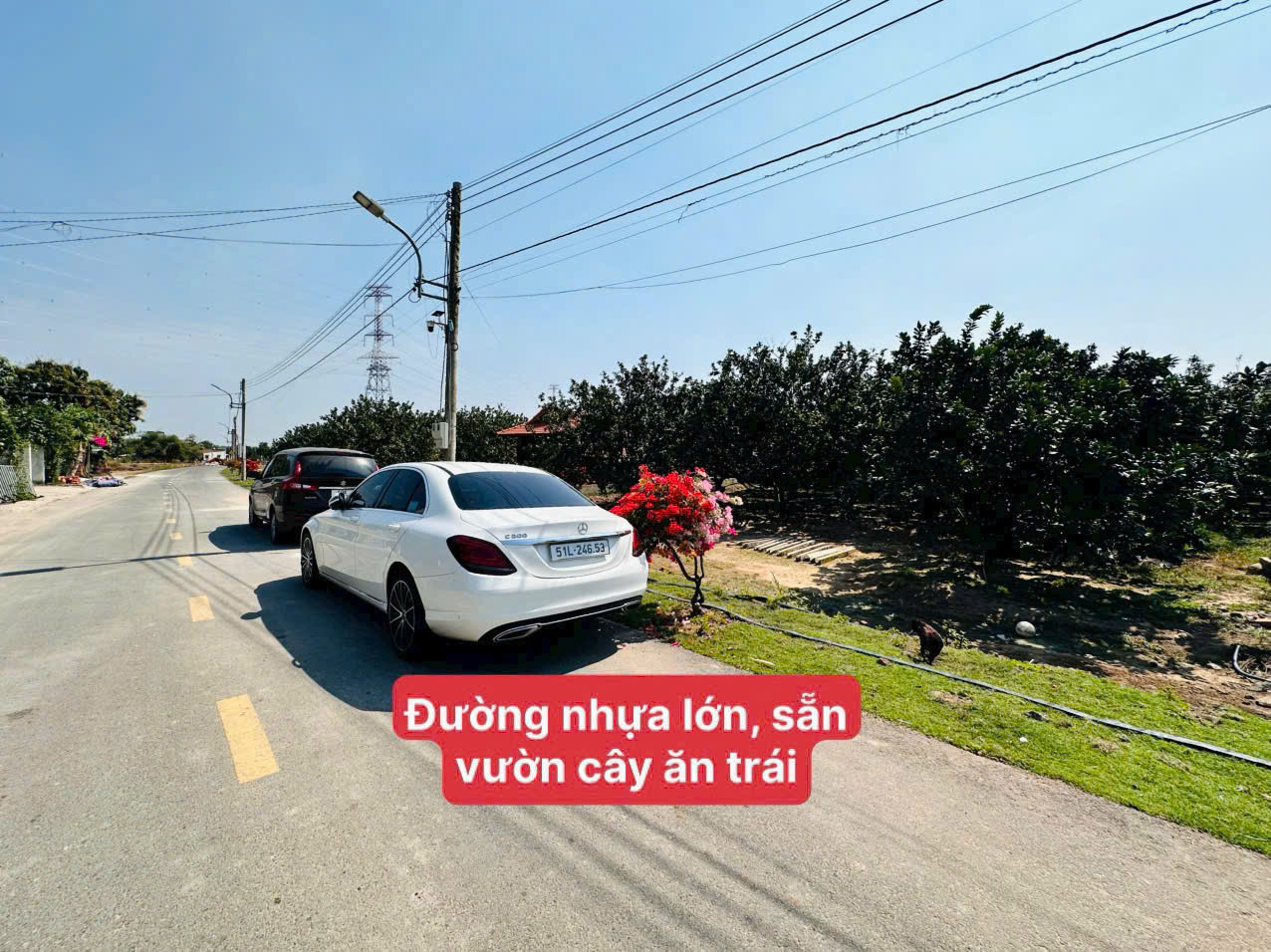 Bán Đất 500m2 có sẵn 200 m2 thổ cư giá 900 triệu tại đường Trừ Văn Thố 49 Thị trấn Lai Uyên Huyện Bàu Bàng Bình Dương