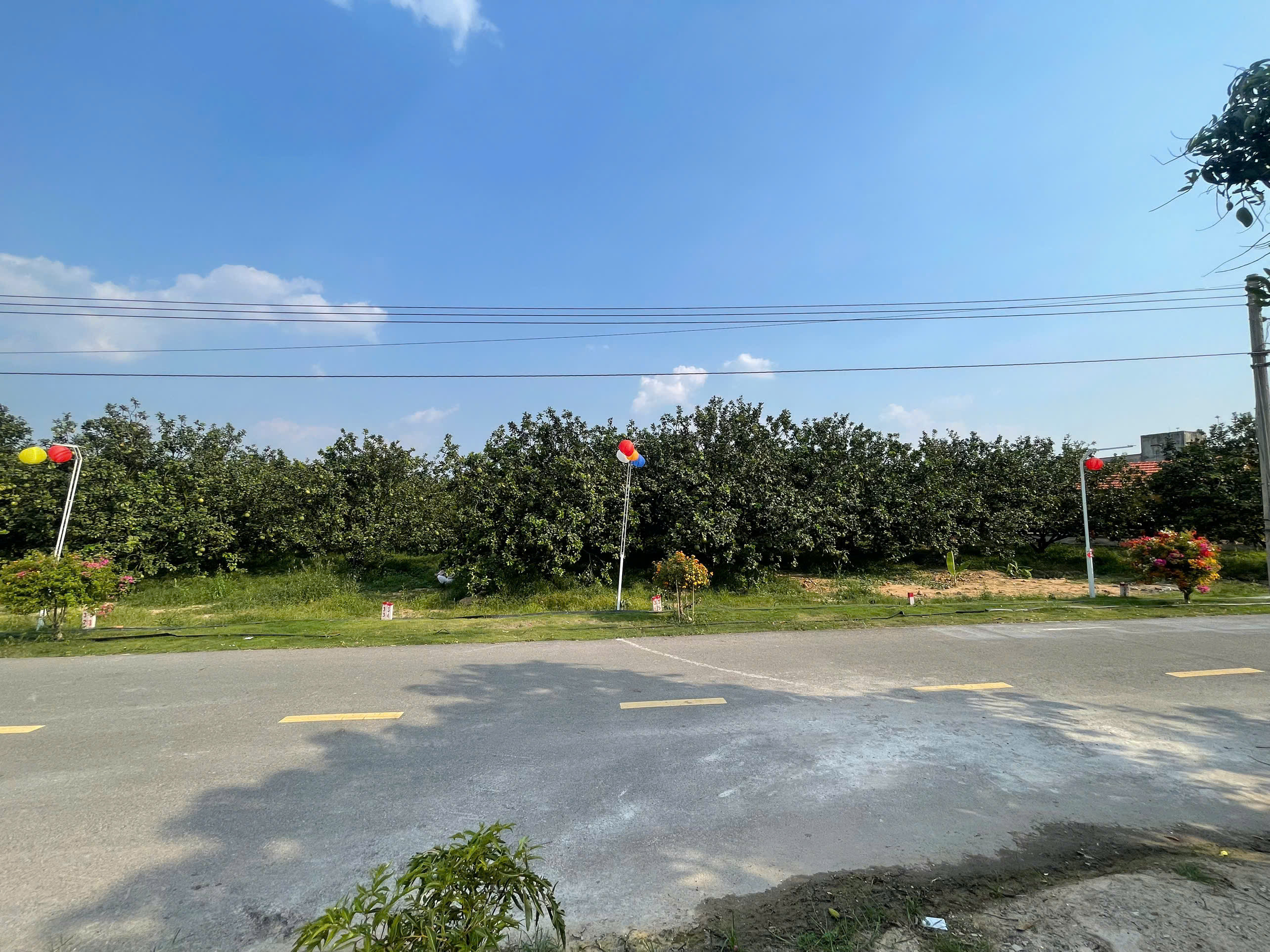 Đất TPHCM mặt tiền đường nhựa diện tích 250m2 giá dưới 1 tỷ