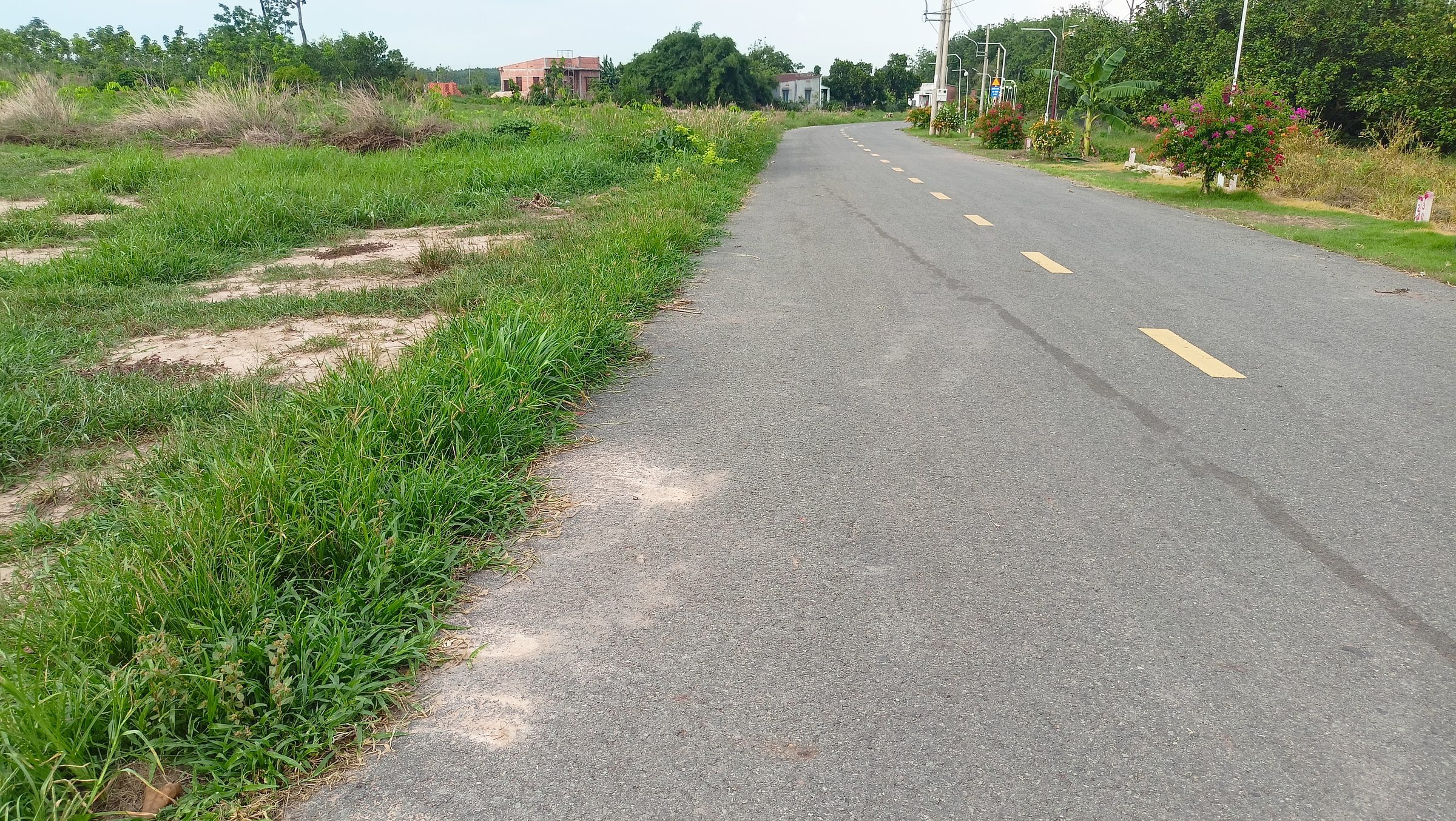 Bán gấp lô đất Bàu Bàng Thành phố Hồ Chí Minh. Mặt tiền đường nhựa, diện tích rộng. Chỉ cần 890tr là có thể sở hữu.