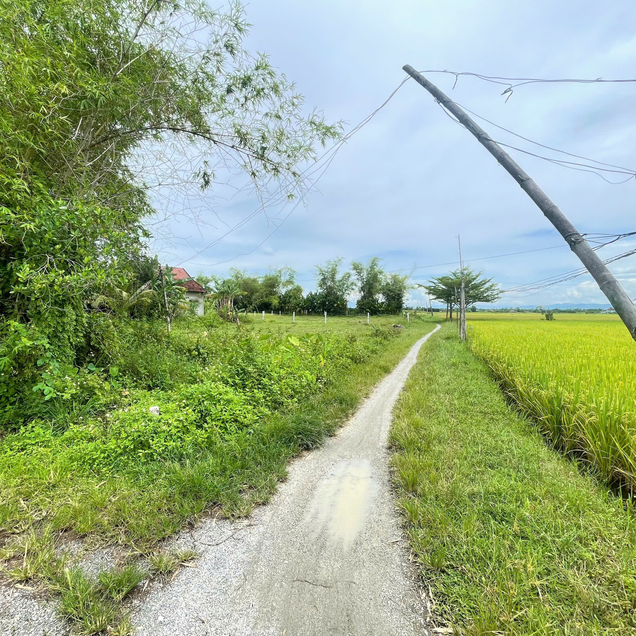 Bán lô đất đẹp chính chủ: Đồng Dương, Thăng Bình, Đà Nẵng giá mềm. 287m ngang 10, chỉ 420 triệu.