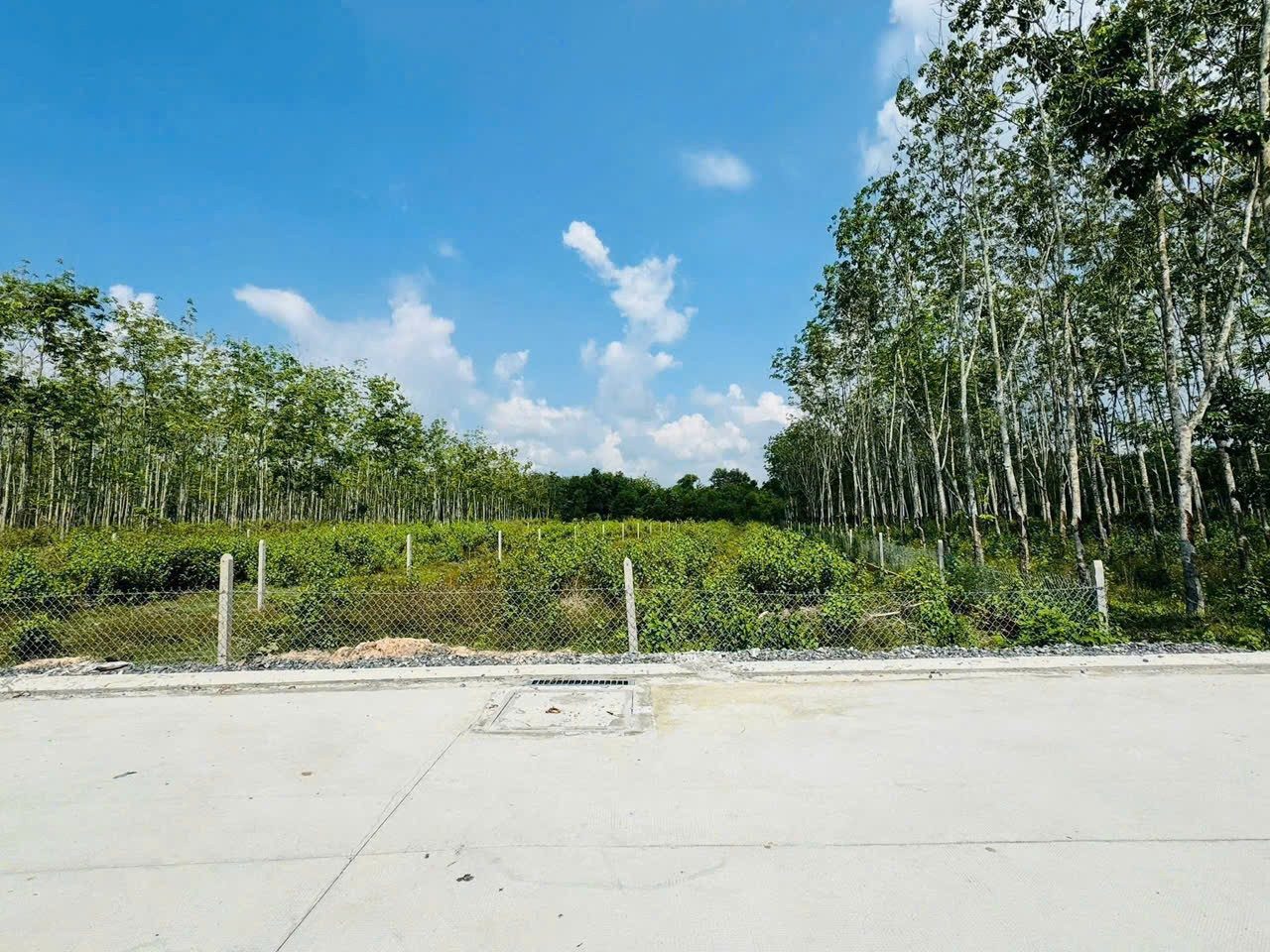 Đất thổ cư mặt tiền Bê tông sát Trung Lập xã Phú Mỹ Hưng Củ Chi TPHCM, DT: 1600m2.