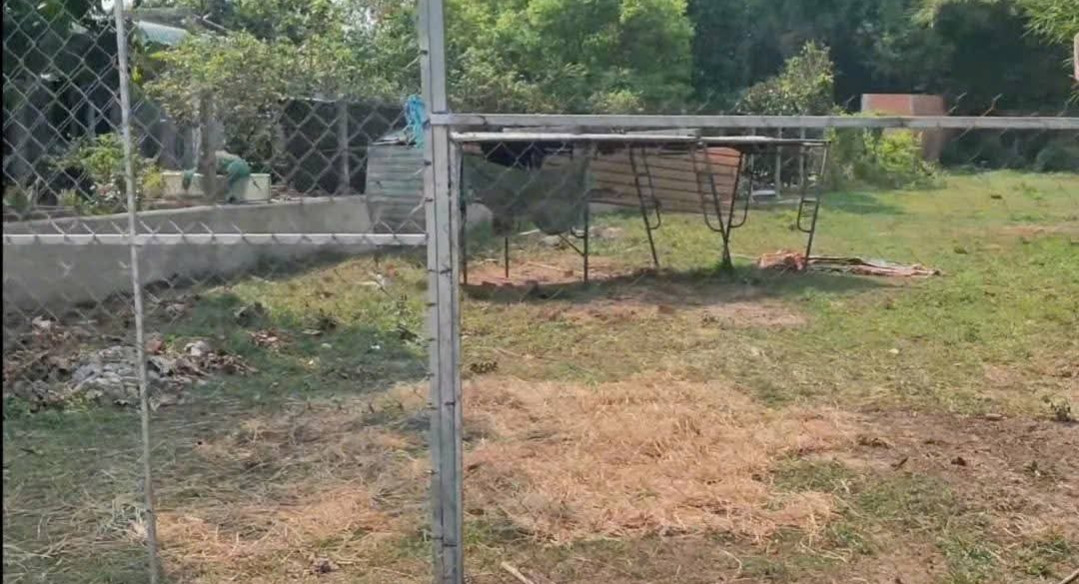 Đất thổ cư xã Trung Lập Thượng Củ Chi TPHCM, DT: 12x62m.