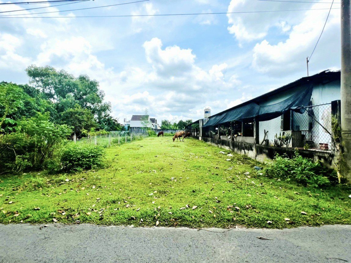 BÁN NHANH LÔ ĐẤT MT TRƯNG NHỊ, TRẢNG BÀNG, 300M2, SHR, 795TR