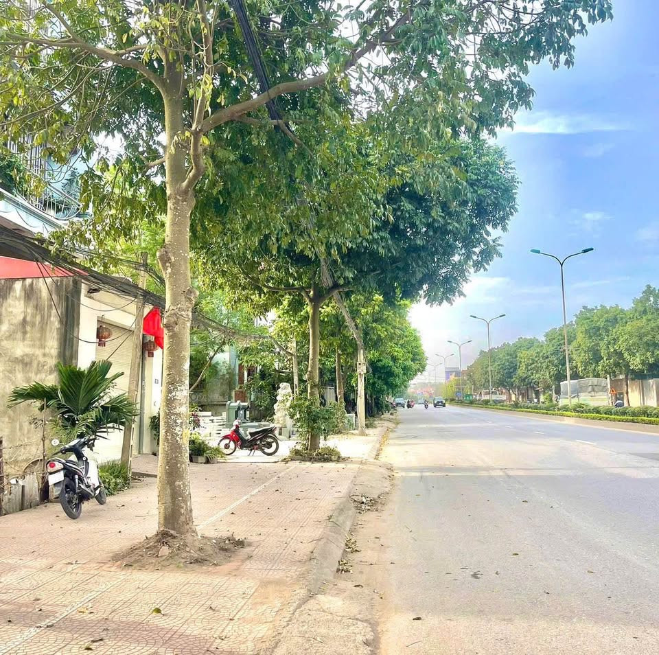 Chính chủ gửi bán mảnh đất mặt đường quốc lộ 21 trung sơn trầm sơn tây