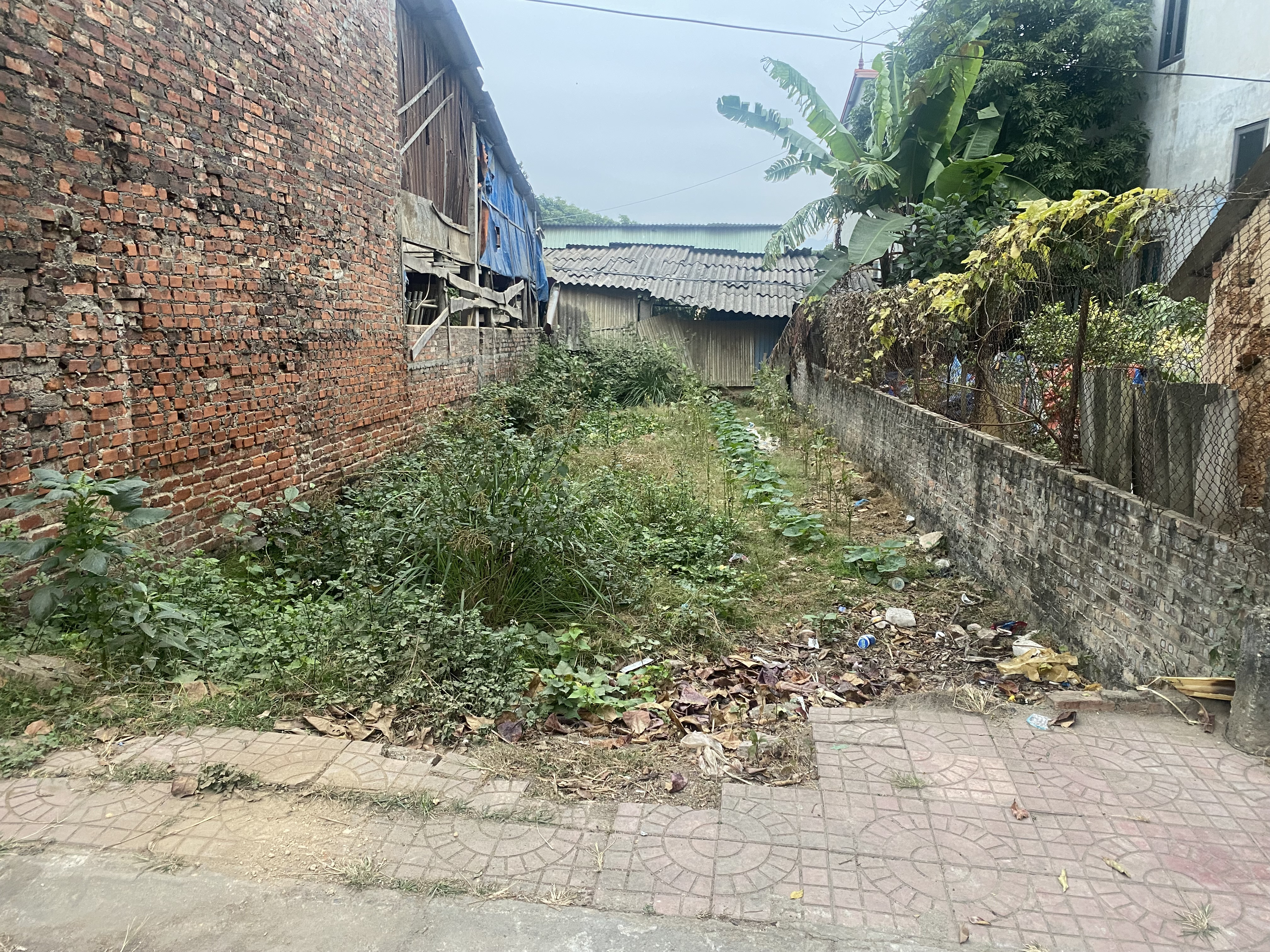 Bán đất 61,7m² ngang 5m giá 60tr/m có thương lượng Phường Xuân Hòa